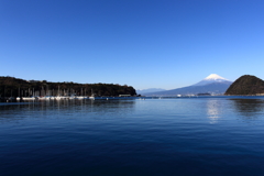 内浦から望む富士