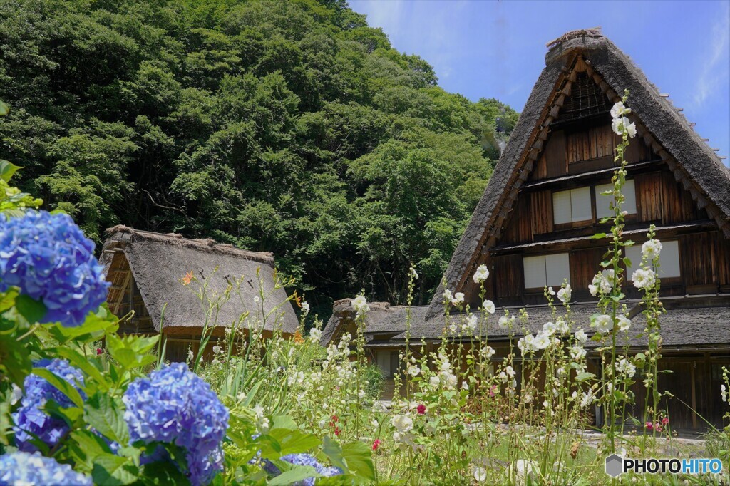 合掌造り住宅