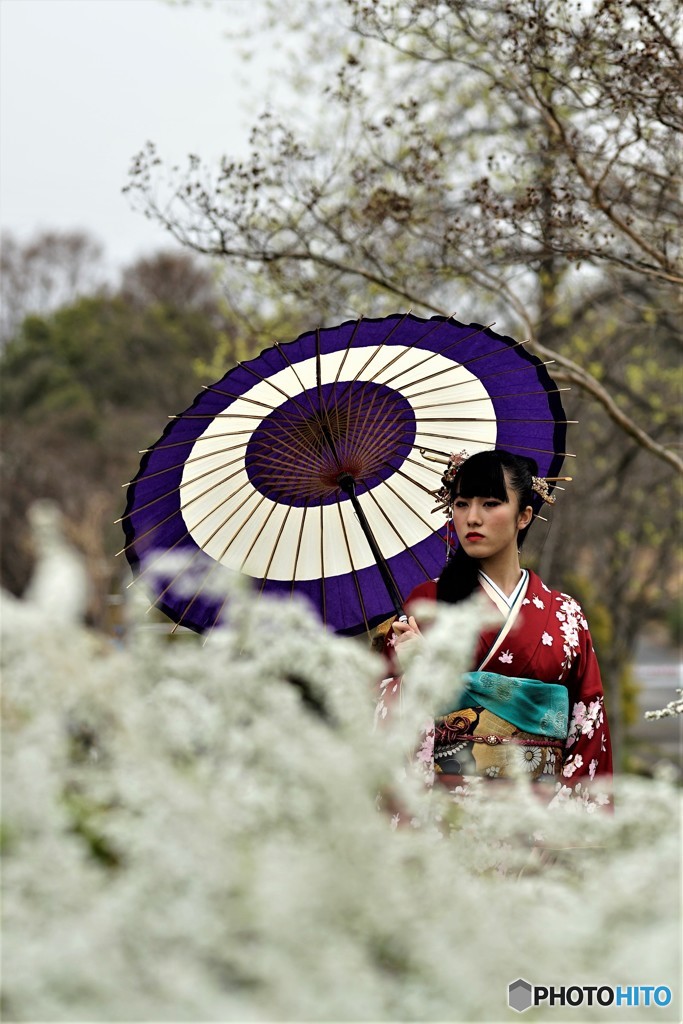 花を見る
