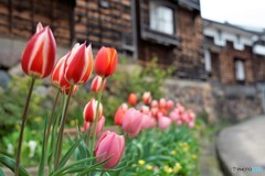 旧野村家の土蔵群