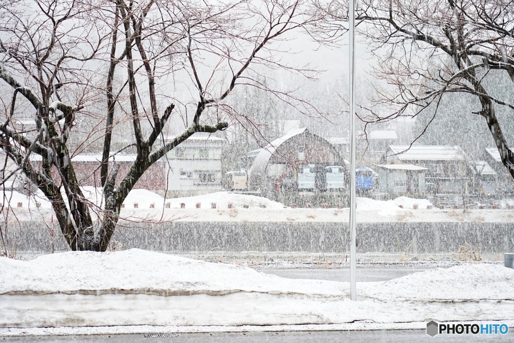 最後のぼた雪