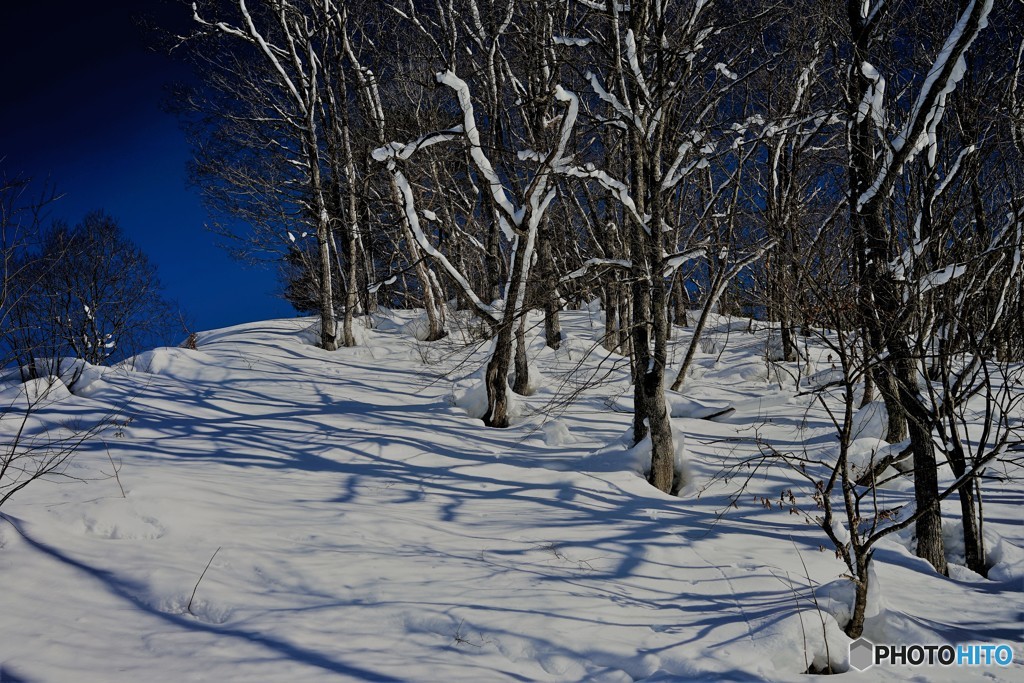 荘川冬景色5