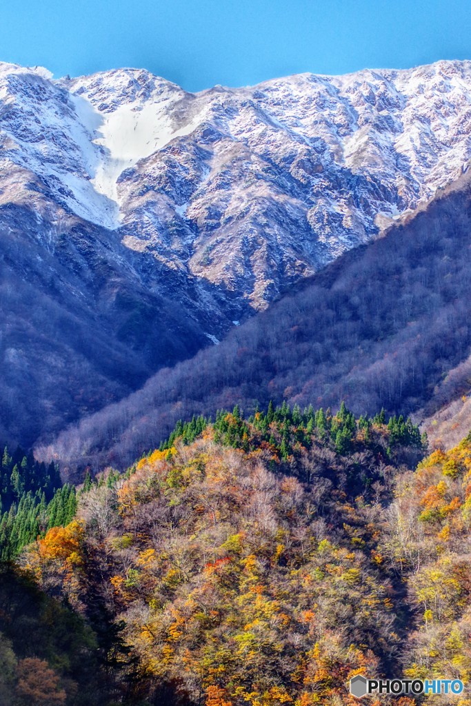 紅葉と冠雪1