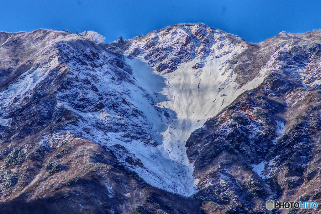 冠雪