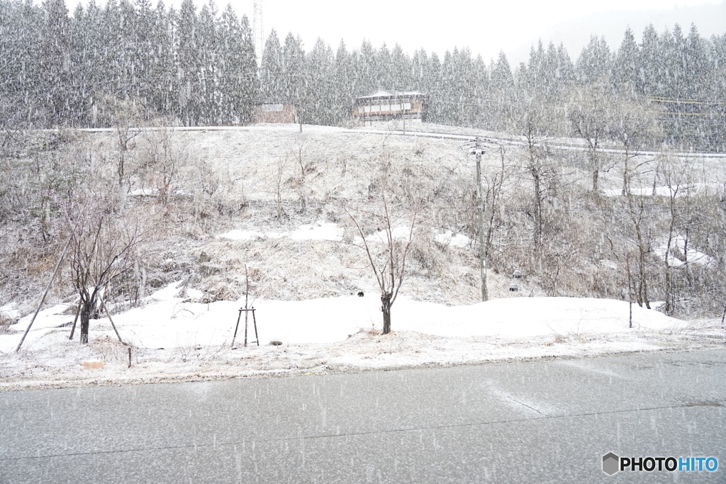 なごり雪