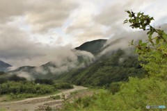 雨上がり1