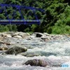 川面3(夏模様）