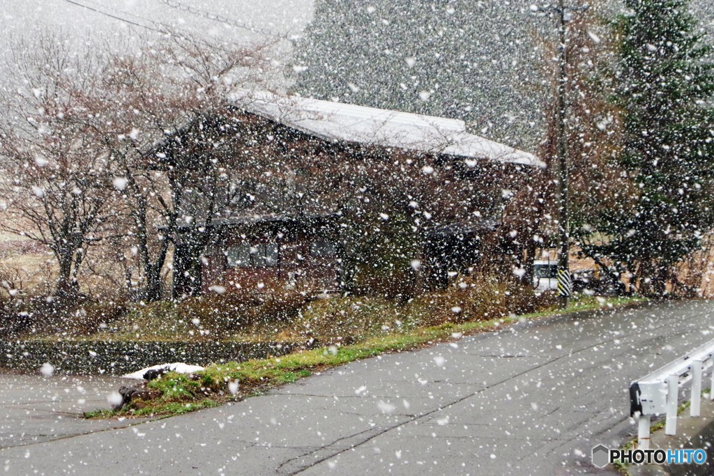 白川村は雪