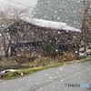 白川村は雪