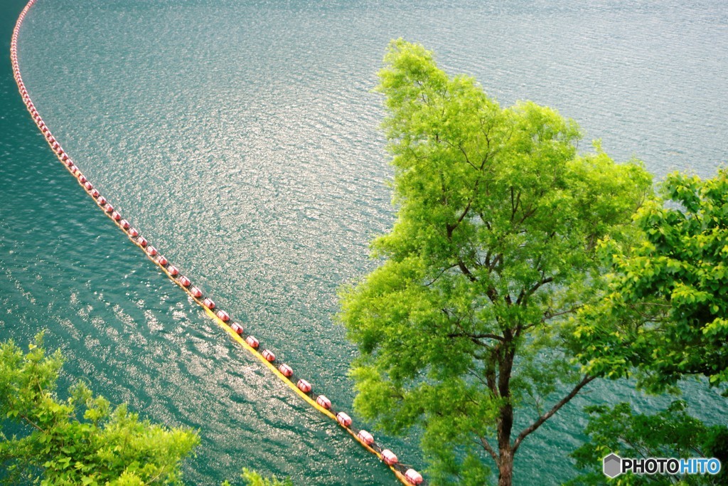 御母衣ダム湖　朝日の反射