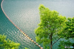 御母衣ダム湖　朝日の反射