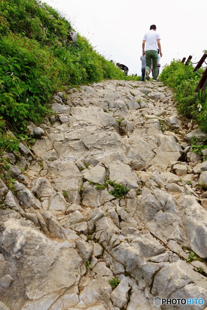 石灰岩の登山道