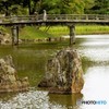 彦根城5玄宮園(お気に入りの石）