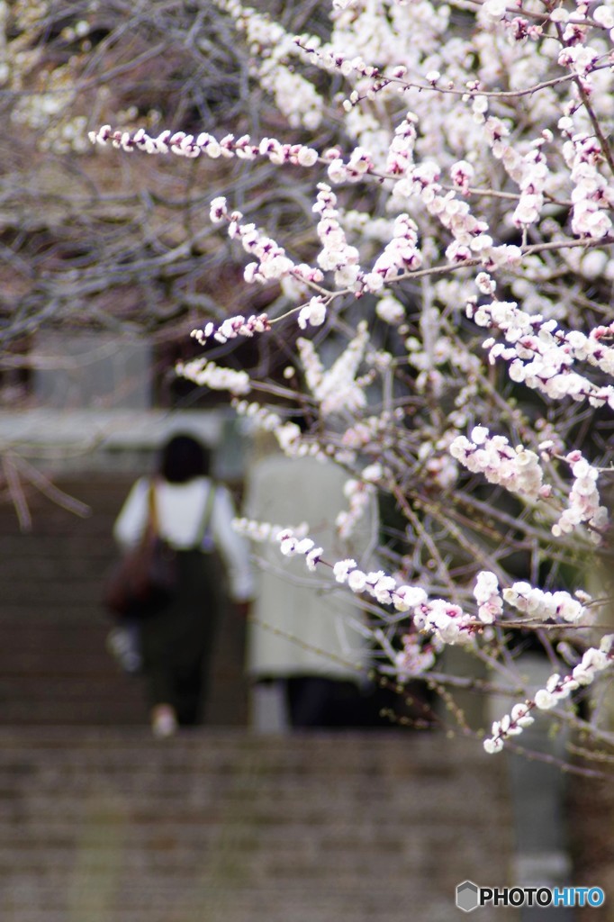 寄り添う