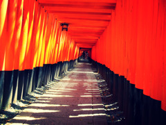 KYOTO