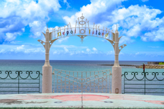 国内の海外