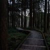 癒しの散策路