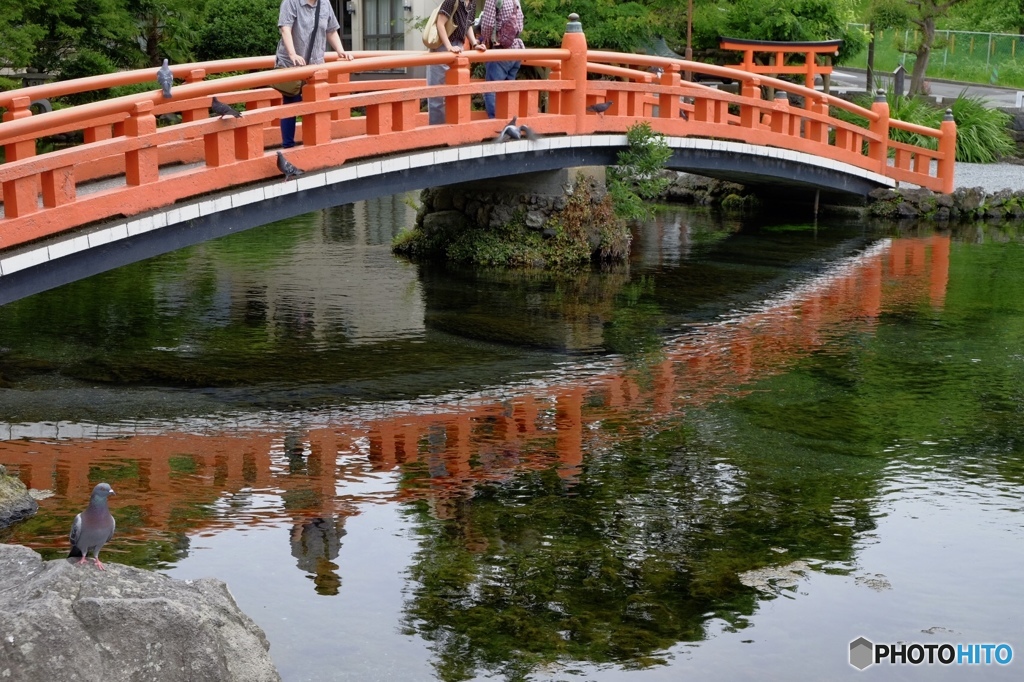 居場所