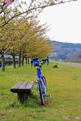 pottering