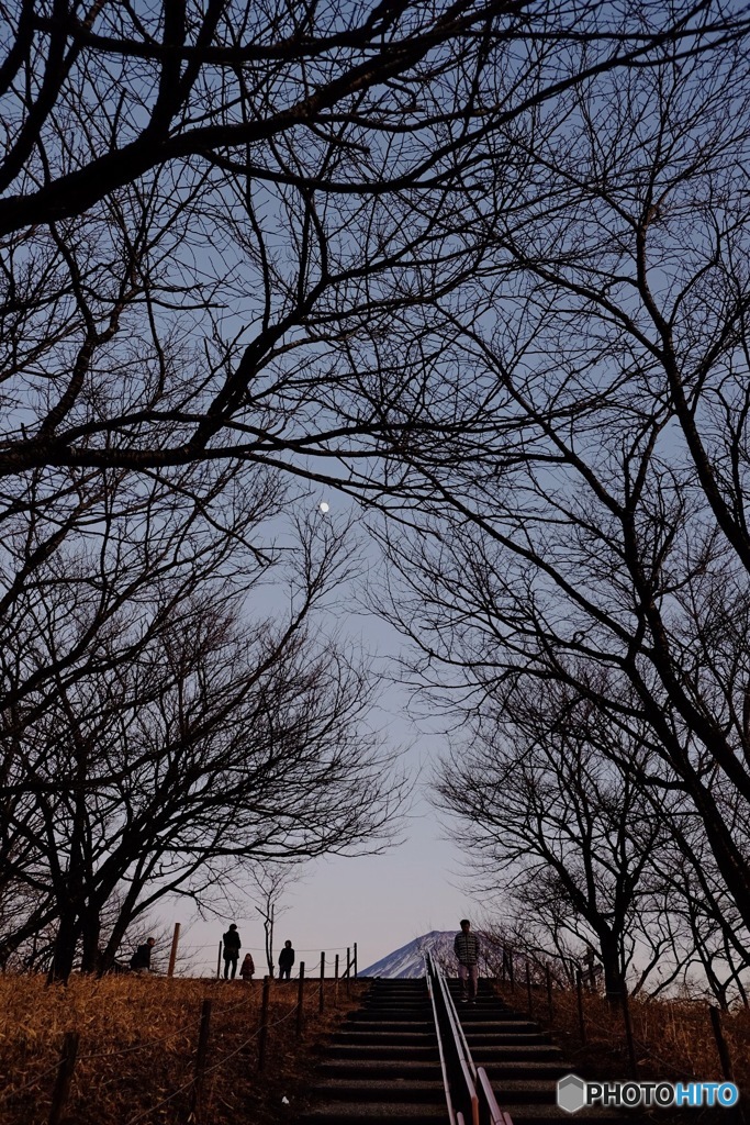 絶景への階段