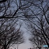 絶景への階段
