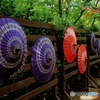 七夕祭り②