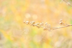 陽だまりの中で