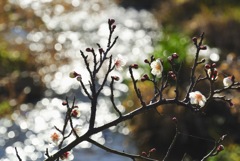 春の予感