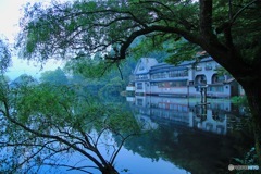 金鱗湖