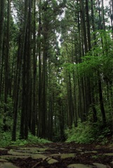 旧道