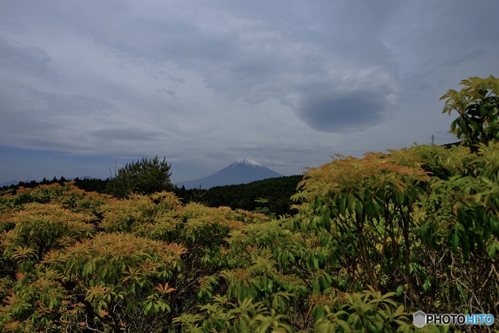 三島富士山眺望地点
