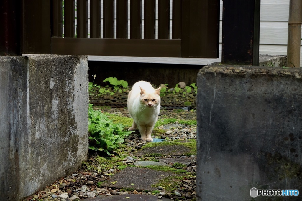 ちょい不機嫌？