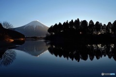 シンメトリー