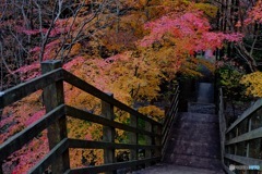 彩りの階段