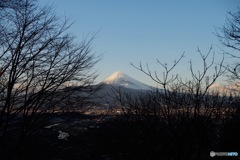 冬枯れの富士