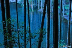 青
