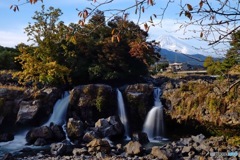 富士山を望む