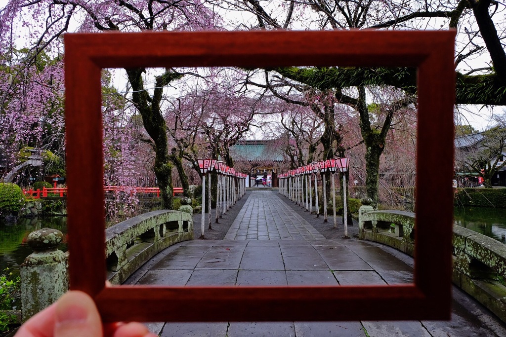 雨の参道