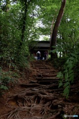 中尊寺4