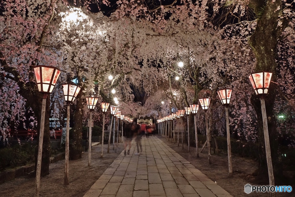 桜木花道