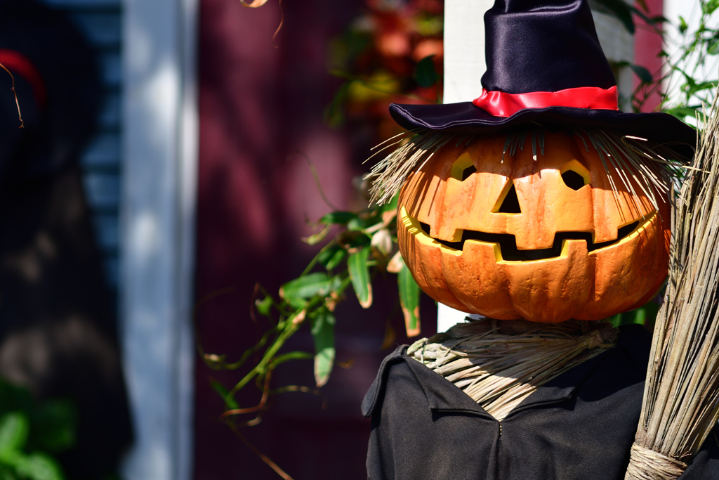 お留守番　…Disney's HALLOWEEN 2017より