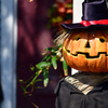 お留守番　…Disney's HALLOWEEN 2017より