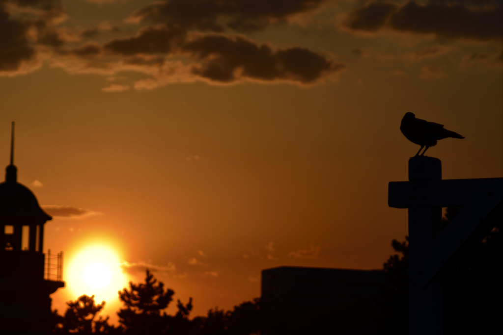 移ろい…　ケープコッドに沈む夕日