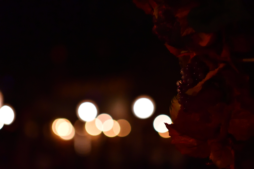 good-by 17 Autumn …ディズニーシー夜の彩