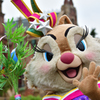 ク…クラリス太った…？