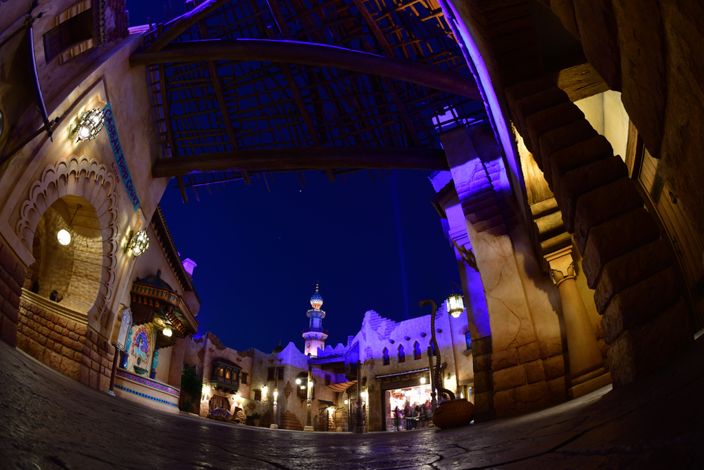 Another oasis …ディズニーシー夜の彩より