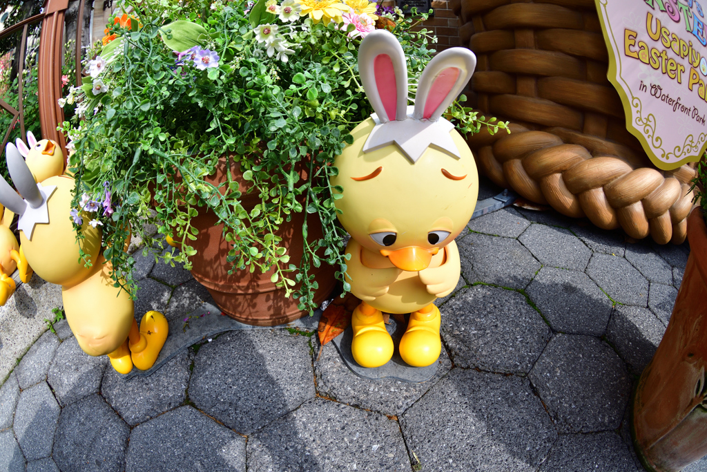 ピィ～…　
