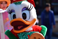 キュートでキラキラ☆ …パーフェクト･クリスマス･2017