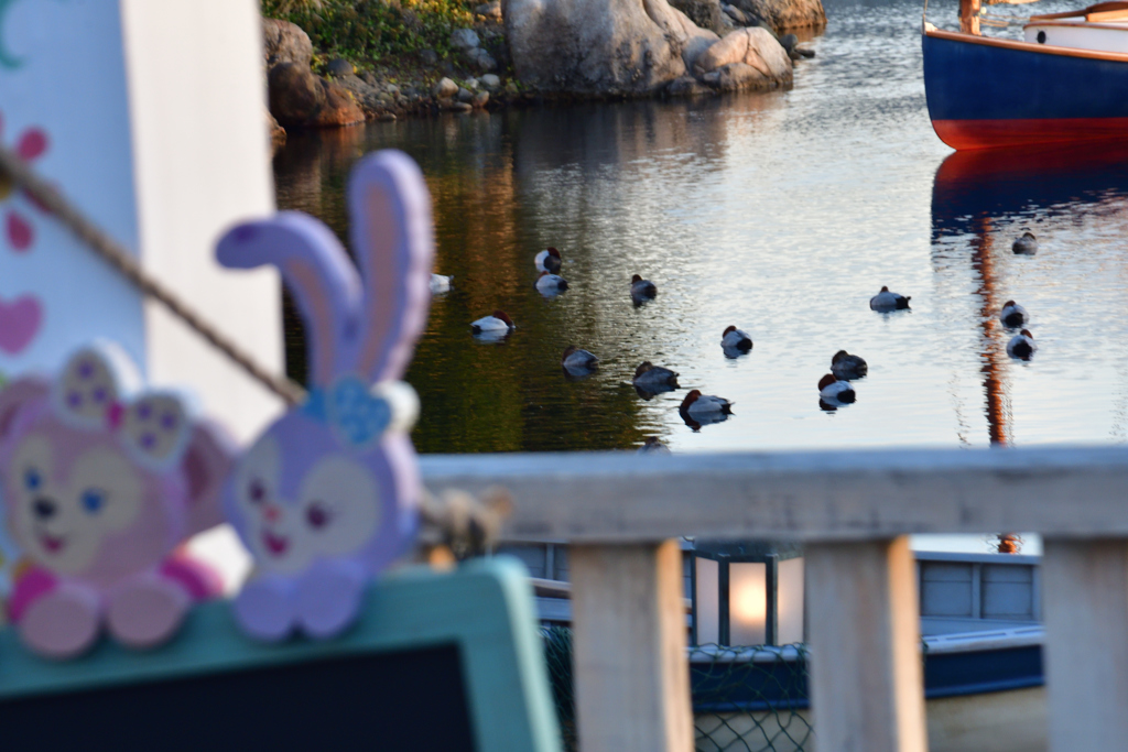 今日もいい日だね…