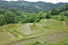 棚田